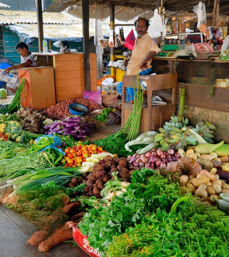 Jaffna market, Jaffna fish market, Jaffna local market, visit Jaffna market, best things to do in Jaffna, best places to visit in Jaffna  