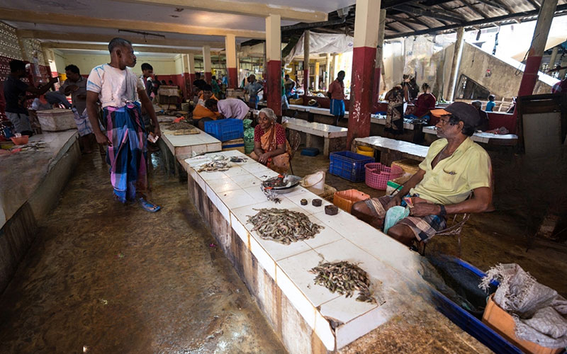 Jaffna market, Jaffna fish market, Jaffna local market, visit Jaffna market, best things to do in Jaffna, best places to visit in Jaffna  