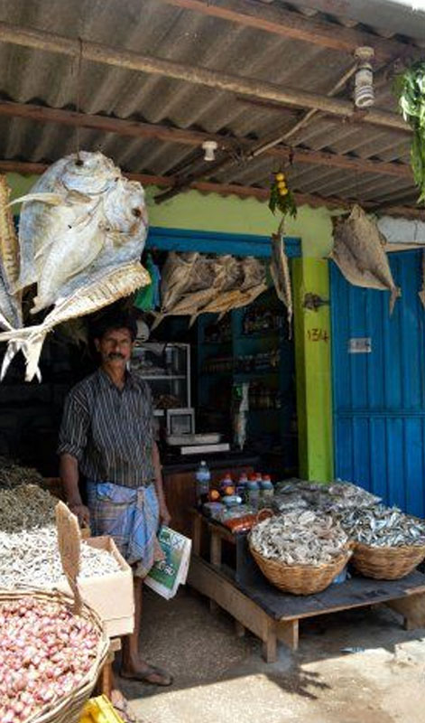 Jaffna market, Jaffna fish market, Jaffna local market, visit Jaffna market, best things to do in Jaffna, best places to visit in Jaffna 