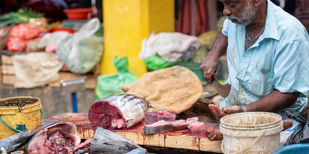 Jaffna market, Jaffna fish market, Jaffna local market, visit Jaffna market, best things to do in Jaffna, best places to visit in Jaffna  