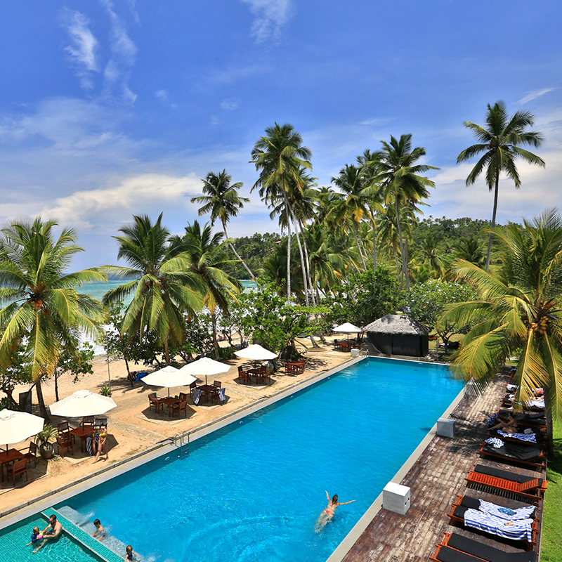 Paradise Beach Club Mirissa - Mirissa Paradise Beach Hotel - Paradise Beach Club in Mirissa - Club Paradise Mirissa - Paradise Beach Club Mirissa - Mirissa Paradise Beach Hotel- Paradise Beach Club in Mirissa - Club Paradise Mirissa