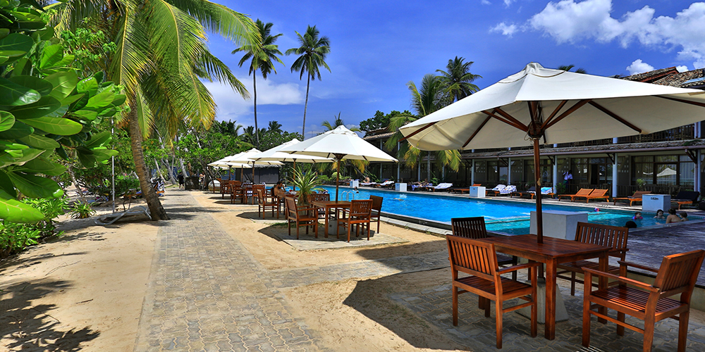 Paradise Beach Club Mirissa - Mirissa Paradise Beach Hotel - Paradise Beach Club in Mirissa - Club Paradise Mirissa - Paradise Beach Club Mirissa - Mirissa Paradise Beach Hotel- Paradise Beach Club in Mirissa - Club Paradise Mirissa