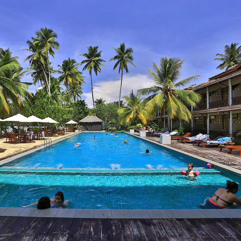 Paradise Beach Club Mirissa - Mirissa Paradise Beach Hotel - Paradise Beach Club in Mirissa - Club Paradise Mirissa - Paradise Beach Club Mirissa - Mirissa Paradise Beach Hotel- Paradise Beach Club in Mirissa - Club Paradise Mirissa