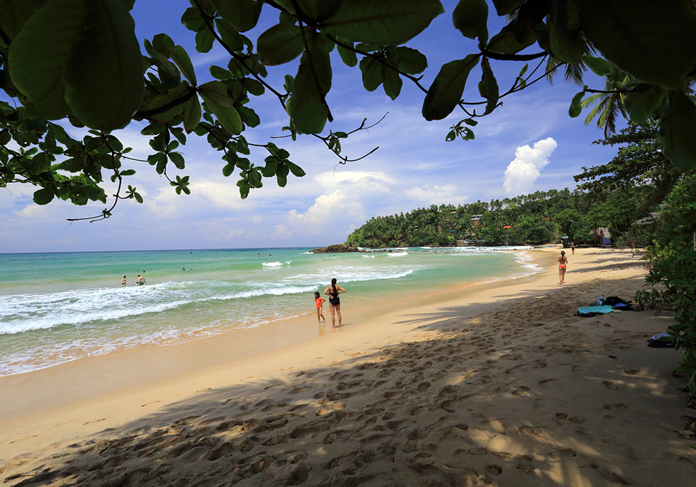 Paradise Beach Club Mirissa - Mirissa Paradise Beach Hotel - Paradise Beach Club in Mirissa - Club Paradise Mirissa - Paradise Beach Club Mirissa - Mirissa Paradise Beach Hotel- Paradise Beach Club in Mirissa - Club Paradise Mirissa