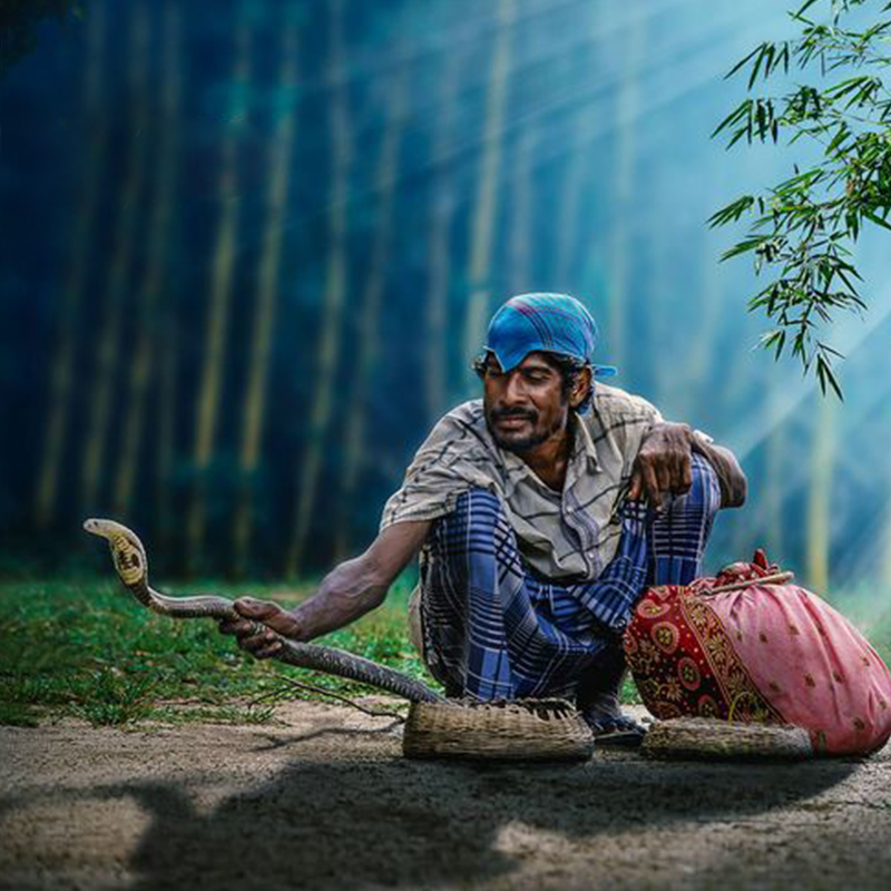 Ahikuntika people in Sri Lanka, Gypsy in Sri Lanka, Ahikuntika community
