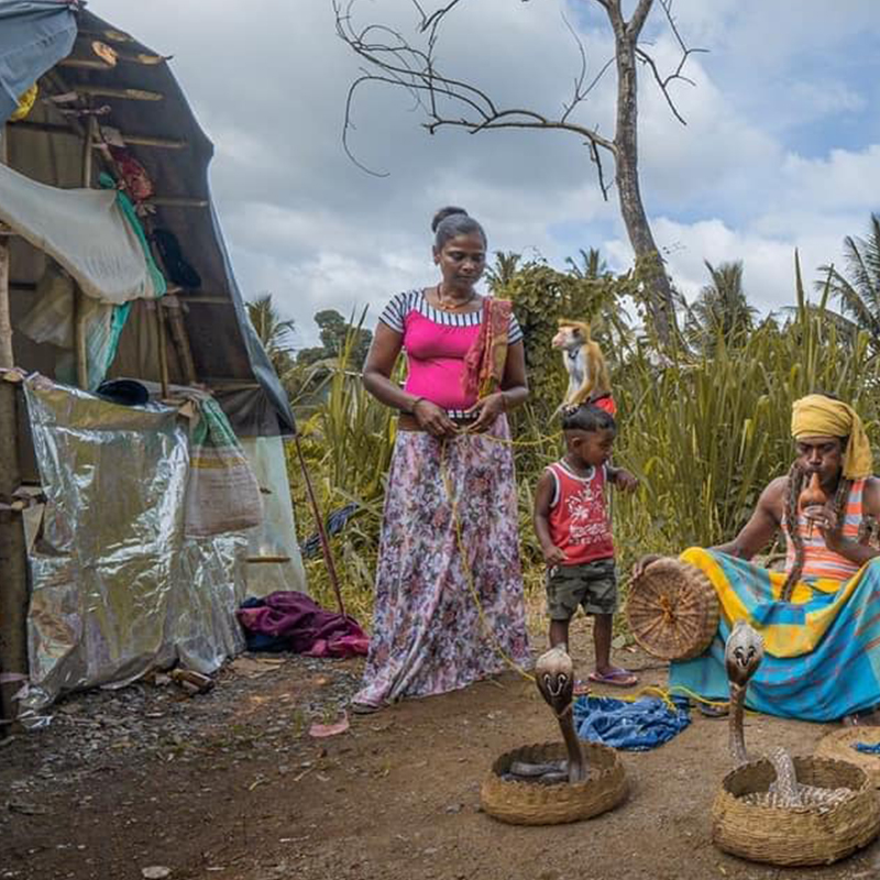 Ahikuntika people in Sri Lanka, Gypsy in Sri Lanka, Ahikuntika community
