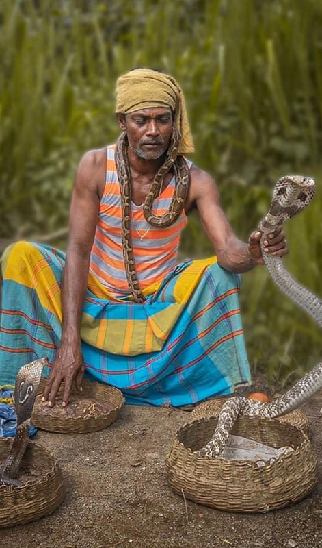 Ahikuntika people in Sri Lanka, Gypsy in Sri Lanka, Ahikuntika community