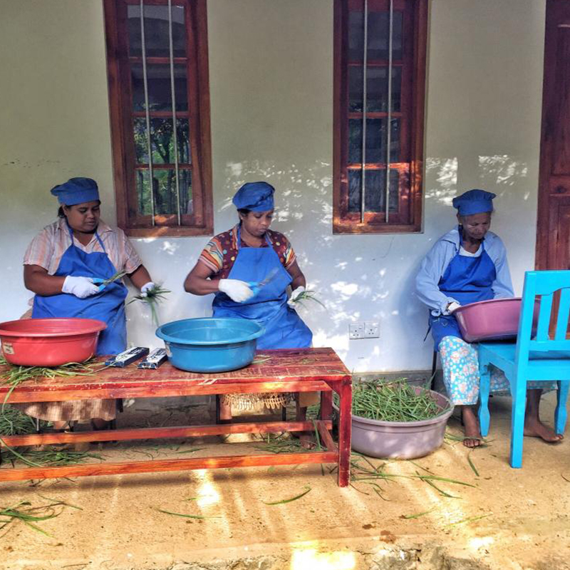 Farm House Stays in Sri Lanka - Farm House Stays - Farm House stays in Ella