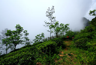 Best things to do in Sri Lanka