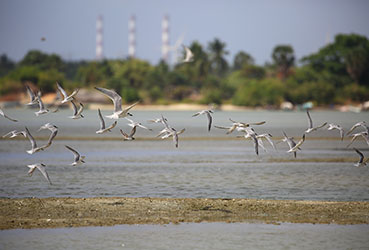 Best things to do in Sri Lanka