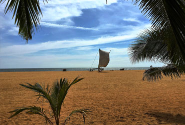 Best things to do in Sri Lanka