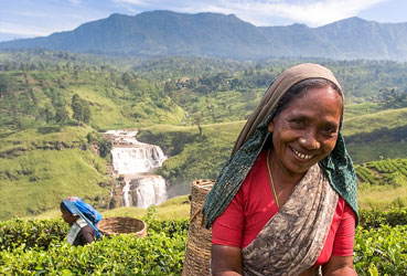 Best things to do in Sri Lanka