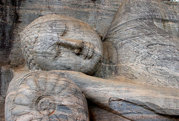 Best things to do in Sri Lanka
