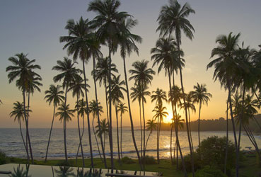 Best things to do in Sri Lanka