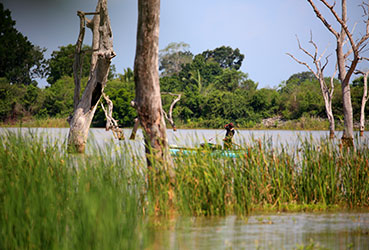 Best things to do in Sri Lanka