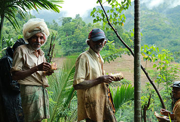 Best things to do in Sri Lanka