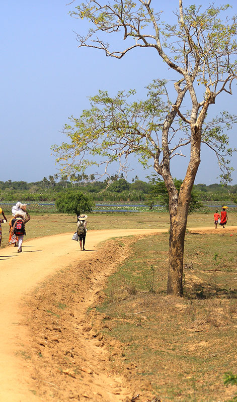 On Foot by Faith to Kataragama - Pada Yatra: Foot Pilgrimage from Jaffna to Kataragama - Walk from Okanda to Kataragama - Things to do in Arugam bay - Kataragama Pada Yatra Pilgrimage