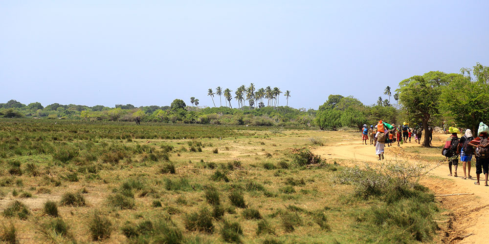 On Foot by Faith to Kataragama - Pada Yatra: Foot Pilgrimage from Jaffna to Kataragama - Walk from Okanda to Kataragama - Things to do in Arugam bay - Kataragama Pada Yatra Pilgrimage