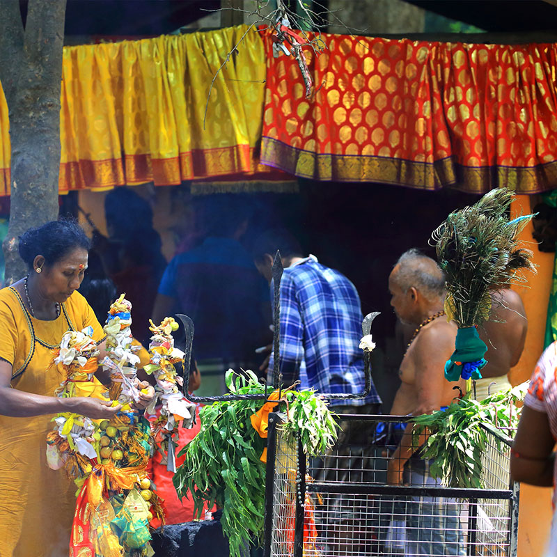 On Foot by Faith to Kataragama - Pada Yatra: Foot Pilgrimage from Jaffna to Kataragama - Walk from Okanda to Kataragama - Things to do in Arugam bay - Kataragama Pada Yatra Pilgrimage