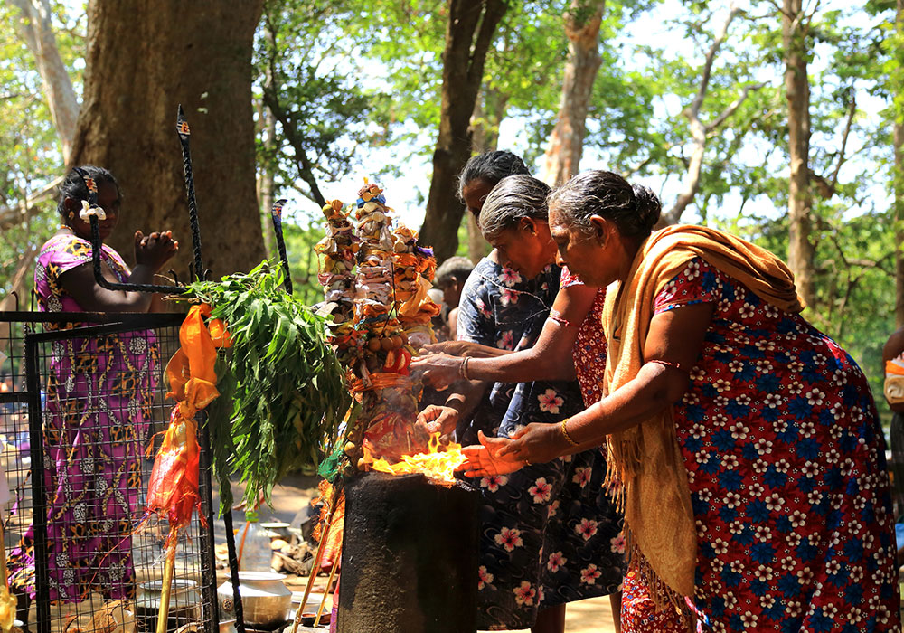 On Foot by Faith to Kataragama - Pada Yatra: Foot Pilgrimage from Jaffna to Kataragama - Walk from Okanda to Kataragama - Things to do in Arugam bay - Kataragama Pada Yatra Pilgrimage