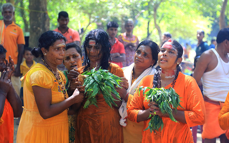 On Foot by Faith to Kataragama - Pada Yatra: Foot Pilgrimage from Jaffna to Kataragama - Walk from Okanda to Kataragama - Things to do in Arugam bay - Kataragama Pada Yatra Pilgrimage