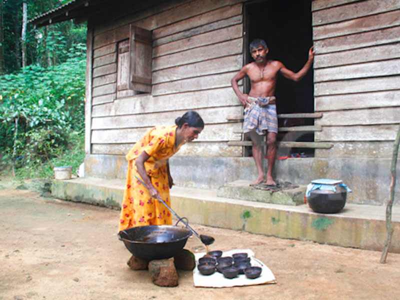 Villages Trekking in sri lanka, Sri lanka village walk, rural village walk with locals in sri lanka,sri lanka village walk with locals, Village walk in kandy, Kandyan Country Walk in Sri Lanka, Kandy Tours in Sri Lanka, Sri Lanka Experiences, Kandyan Country Walk with Traditional Breakfast in Sri Lanka, Kandyan Culture Walk with a Villager in the Afternoon