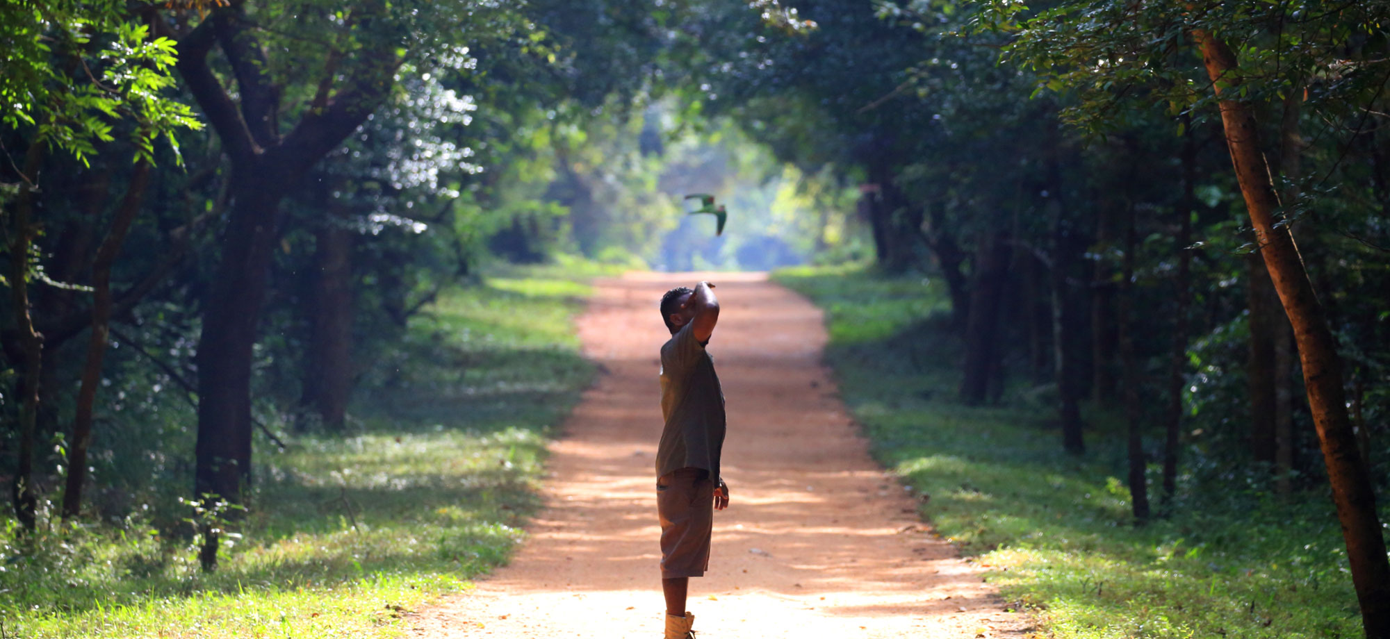 Birds Watching Tours in Sri Lanka, Sri Lanka Safari Tours, Safari Tour packages in Sri Lanka, Safari Holidays in Sri Lanka, Safari Tours Sri Lanka, Birds Watching Holidays Sri Lanka, Sri Lanka Birds Watching Holidays, Sri Lanka safari and Birds Watching Tours and Holidays in Sri Lanka