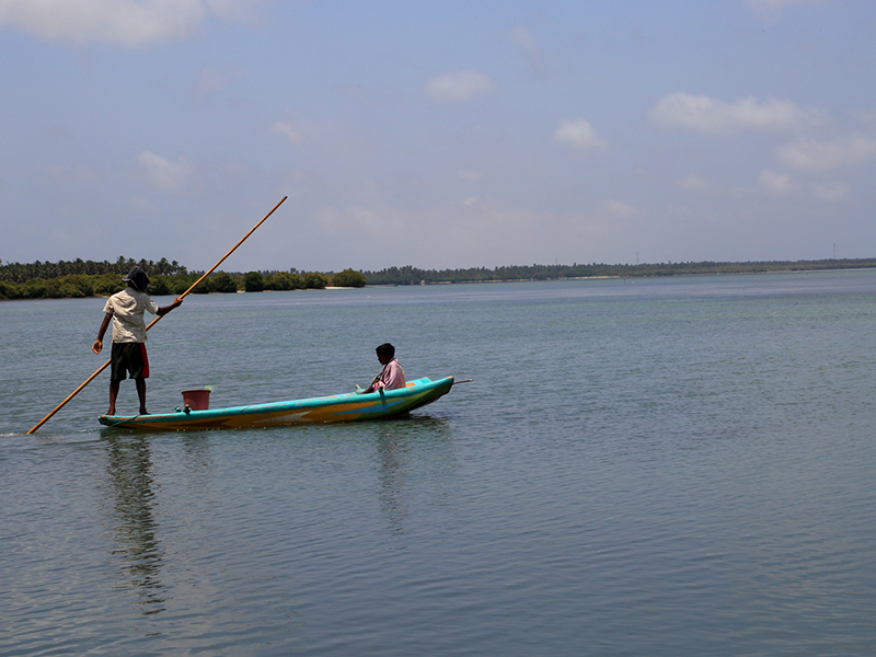 Cross Kalpitiya Lagoon by boat with a fisherman, Kalpitiya Lagoon Tou, Boat Trip with a fisherman in Kalpitya, Kalpitiya lagoon, Boat trip in Kalpitiya
