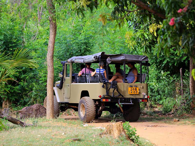 Habarana & Sigiriya culture trip by Jeep, Sigiriya culture trip by Jeep in Sri Lanka, Habarana culture trip by Jeep in Sri Lanka, culture trip by Jeep experience Sri Lanka, Jeep experience Sri Lanka