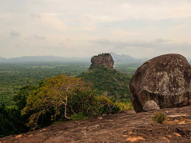 Habarana & Sigiriya culture trip by Jeep, Sigiriya culture trip by Jeep in Sri Lanka, Habarana culture trip by Jeep in Sri Lanka, culture trip by Jeep experience Sri Lanka, Jeep experience Sri Lanka