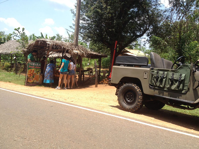 Habarana & Sigiriya culture trip by Jeep, Sigiriya culture trip by Jeep in Sri Lanka, Habarana culture trip by Jeep in Sri Lanka, culture trip by Jeep experience Sri Lanka, Jeep experience Sri Lanka
