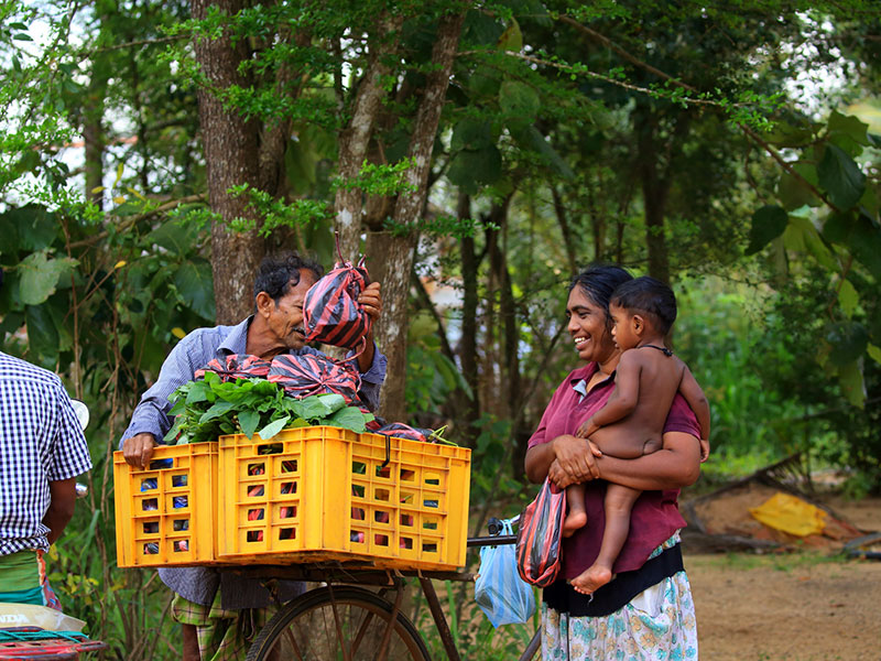 Cycling in Sigiriya, Cycling in Sri Lanka, Tours in Sri Lanka, Cycling Experience Sri Lanka, Cycle Tours Sri Lanka, Cycle Tours Sigiriya, Cycling Tour in Sri Lanka, Cycling Experience