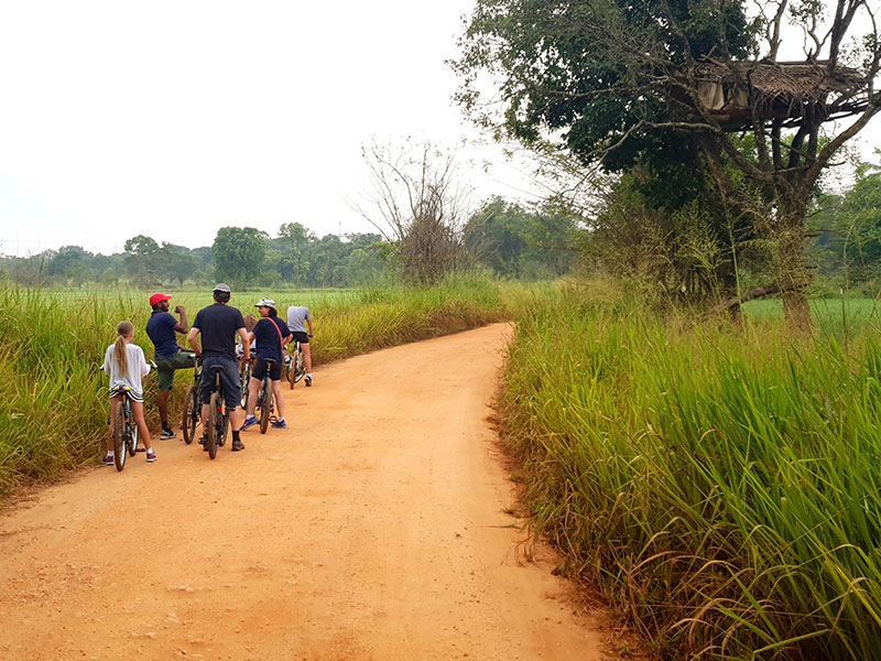 Cycling in Sigiriya, Cycling in Sri Lanka, Tours in Sri Lanka, Cycling Experience Sri Lanka, Cycle Tours Sri Lanka, Cycle Tours Sigiriya, Cycling Tour in Sri Lanka, Cycling Experience