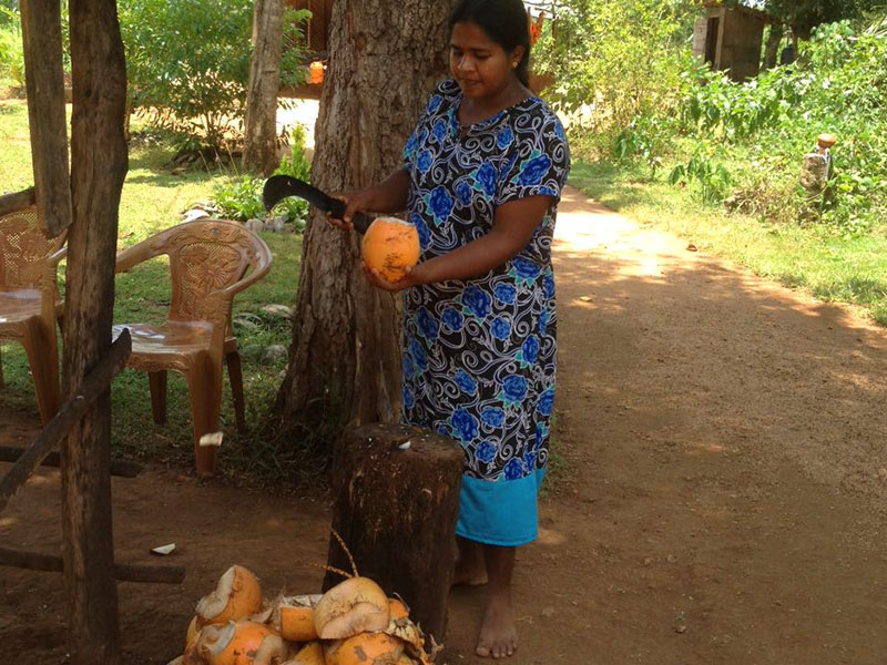 Cycling in Sigiriya, Cycling in Sri Lanka, Tours in Sri Lanka, Cycling Experience Sri Lanka, Cycle Tours Sri Lanka, Cycle Tours Sigiriya, Cycling Tour in Sri Lanka, Cycling Experience