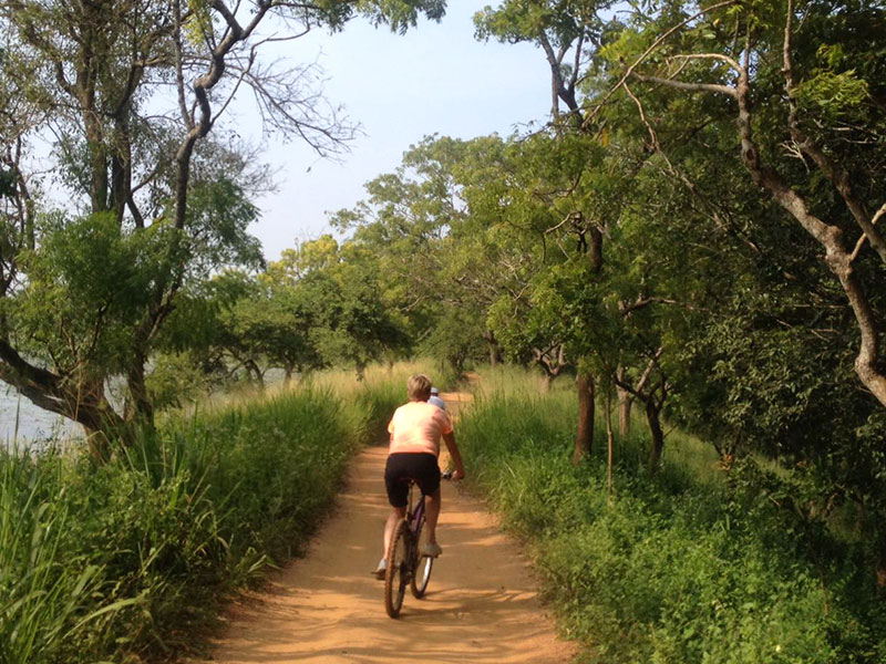 Cycling in Sigiriya, Cycling in Sri Lanka, Tours in Sri Lanka, Cycling Experience Sri Lanka, Cycle Tours Sri Lanka, Cycle Tours Sigiriya, Cycling Tour in Sri Lanka, Cycling Experience