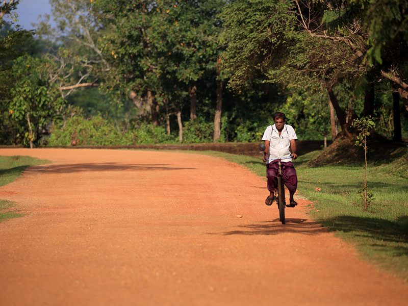Cycling in Sigiriya, Cycling in Sri Lanka, Tours in Sri Lanka, Cycling Experience Sri Lanka, Cycle Tours Sri Lanka, Cycle Tours Sigiriya, Cycling Tour in Sri Lanka, Cycling Experience