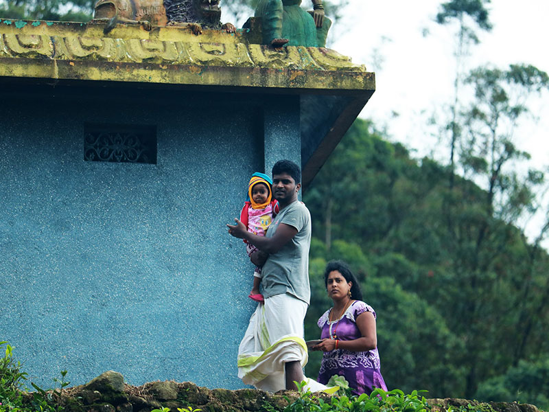 Staying in Sri Lanka - Staying with a Local Family in a Homestay in Sri Lanka - Sri Lanka Staying with a Local Family in a Homestay - Sri Lanka Homestay Experience - Stay in Sri Lanka Local Family