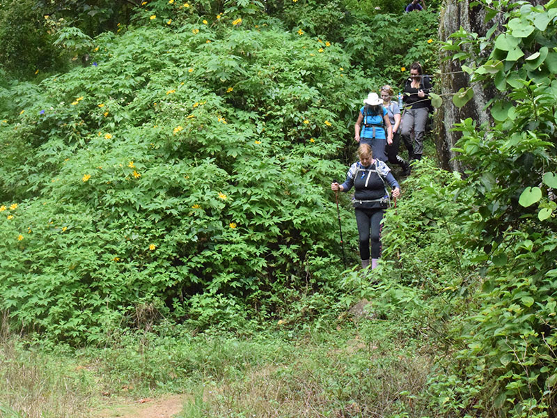 Staying in Sri Lanka - Staying with a Local Family in a Homestay in Sri Lanka - Sri Lanka Staying with a Local Family in a Homestay - Sri Lanka Homestay Experience - Stay in Sri Lanka Local Family