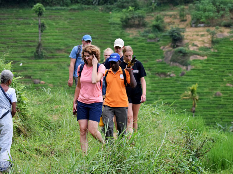 Staying in Sri Lanka - Staying with a Local Family in a Homestay in Sri Lanka - Sri Lanka Staying with a Local Family in a Homestay - Sri Lanka Homestay Experience - Stay in Sri Lanka Local Family