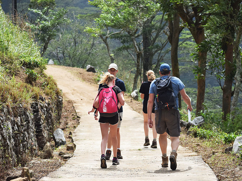 Staying in Sri Lanka - Staying with a Local Family in a Homestay in Sri Lanka - Sri Lanka Staying with a Local Family in a Homestay - Sri Lanka Homestay Experience - Stay in Sri Lanka Local Family