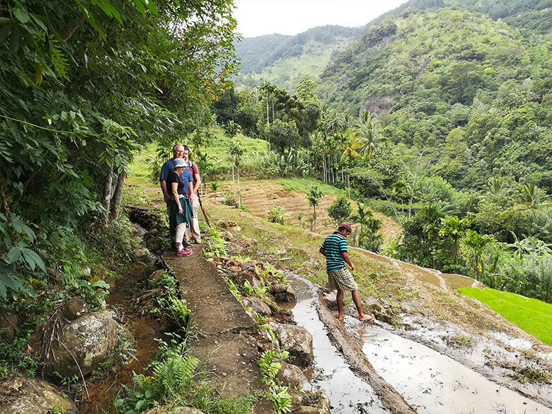 Staying in Sri Lanka - Staying with a Local Family in a Homestay in Sri Lanka - Sri Lanka Staying with a Local Family in a Homestay - Sri Lanka Homestay Experience - Stay in Sri Lanka Local Family