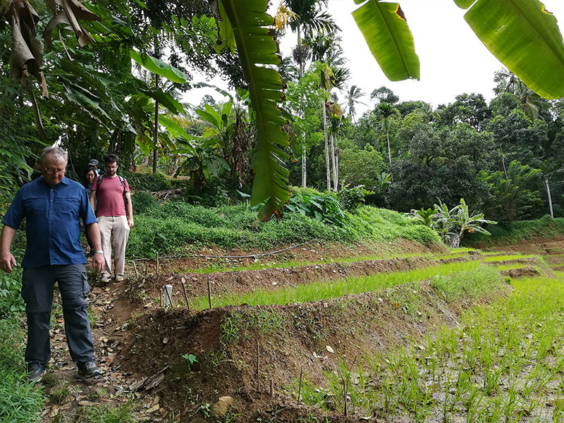Staying in Sri Lanka - Staying with a Local Family in a Homestay in Sri Lanka - Sri Lanka Staying with a Local Family in a Homestay - Sri Lanka Homestay Experience - Stay in Sri Lanka Local Family