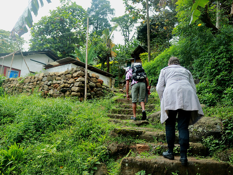 Staying in Sri Lanka - Staying with a Local Family in a Homestay in Sri Lanka - Sri Lanka Staying with a Local Family in a Homestay - Sri Lanka Homestay Experience - Stay in Sri Lanka Local Family