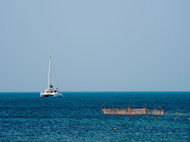 Explore Jaffna's Delft Island by a Catamaran Cruise - Delft Island Tour - Jaffna Tours - Explore Jaffna's Delft Island - Catamaran Cruise in Jaffna - Jaffna Catamaran Cruise