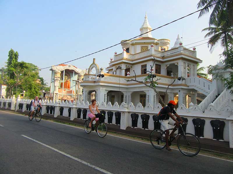 Cycling in Negombo, Cycling in Sri Lanka, Tours in Sri Lanka, Cycling Experience Sri Lanka, Cycle Tours Sri Lanka, Cycle Tours Negombo