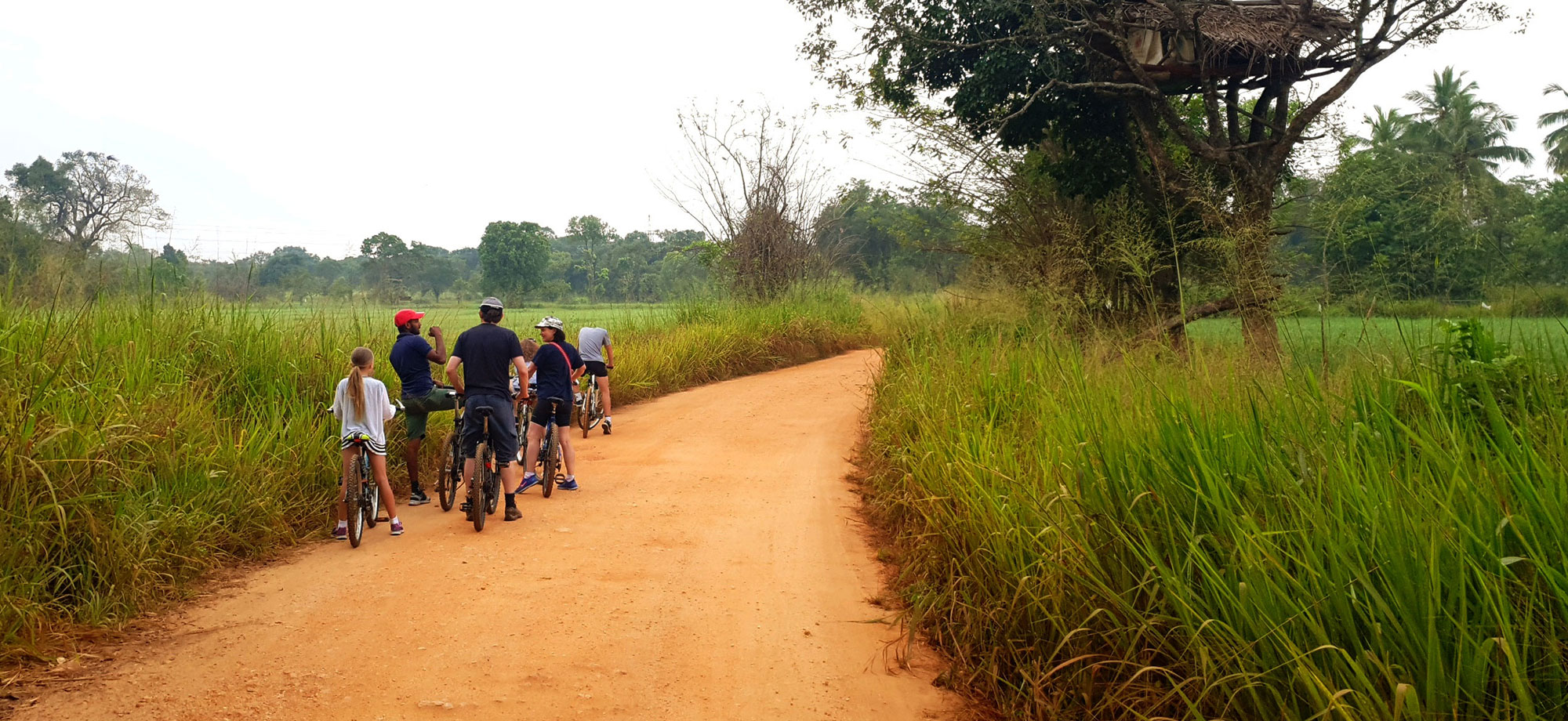 Cycling in Sigiriya, Cycling in Sri Lanka, Tours in Sri Lanka, Cycling Experience Sri Lanka, Cycle Tours Sri Lanka, Cycle Tours Sigiriya, Cycling Tour in Sri Lanka, Cycling Experience