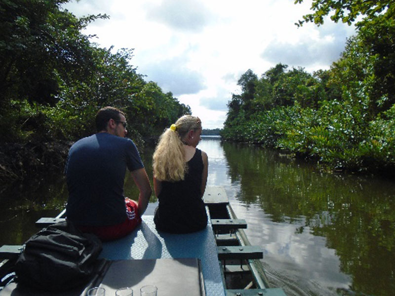 Sri Lankan's Village Life, Rain Forest Experience in Sri Lanka, Sri Lanka Home Stays, Home Stay experince in Sri Lanka, Sinharaja Rain Forest trekking, Village Experiences in Sri Lanka, Bentota