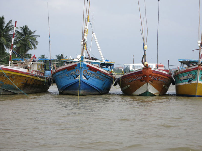 Fishing in Negombo - Catamaran Sailing tours in Negombo - Negombo Fishing Catamaran Tour - Negombo Fishing Tour - Sailing Tours in Sri Lanka