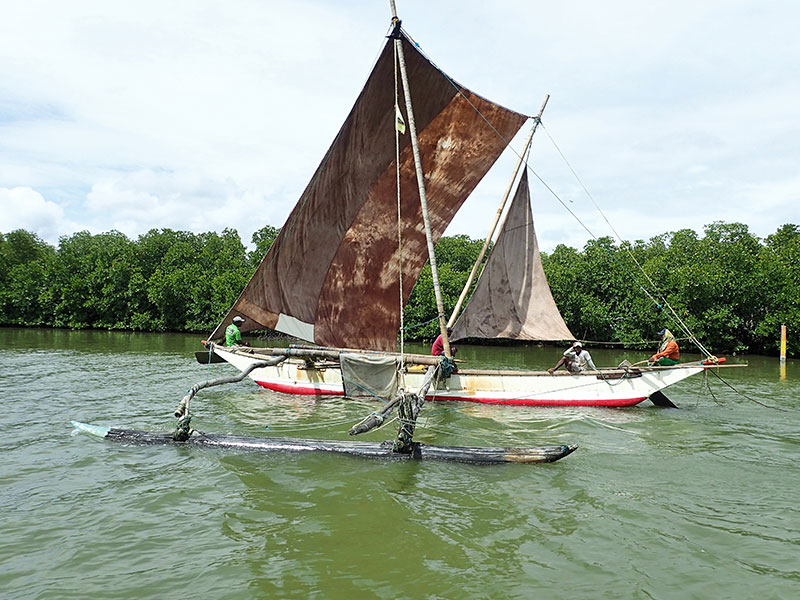 Fishing in Negombo - Catamaran Sailing tours in Negombo - Negombo Fishing Catamaran Tour - Negombo Fishing Tour - Sailing Tours in Sri Lanka