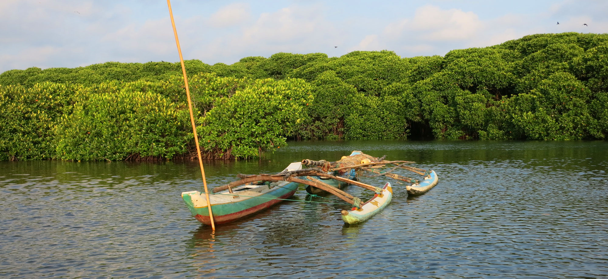 Hamilton canal Boat Tours, Boat Tours in Hamilton Canal, Boat Trips in Hamilt Canal, Hamilton Canal Boat Trips, Boat Trips in Hamilton Canal, Negombo hamilton Canal Boat Tours, Negombo Boat Tours, Boat Tours in Hamilton Canal